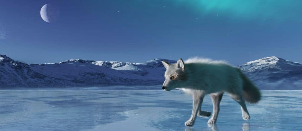 Artic wolf in Anim4rt Metaverse